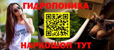 индика Ликино-Дулёво